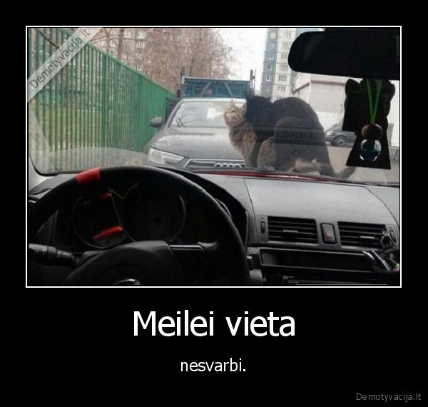 meile,katinai,seksas