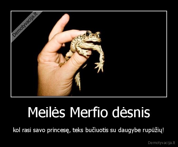 meiles, merfio, desnis, buciuok, rupuze,gausi, i, kuse