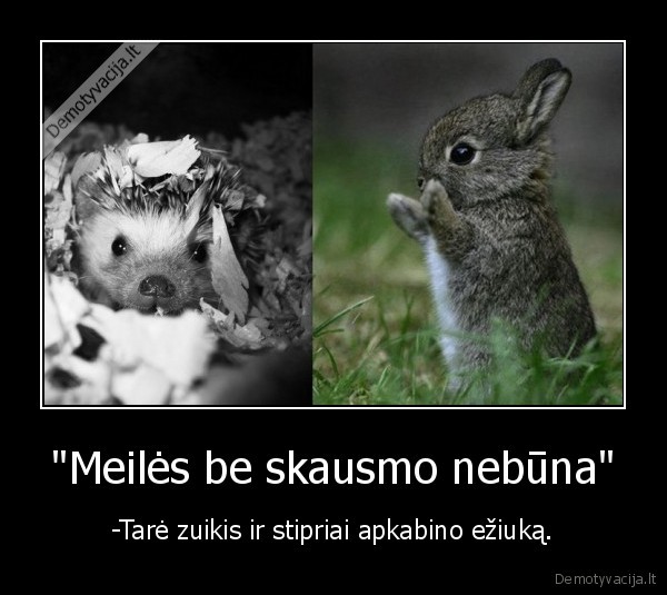 &quot;Meilės be skausmo nebūna&quot;