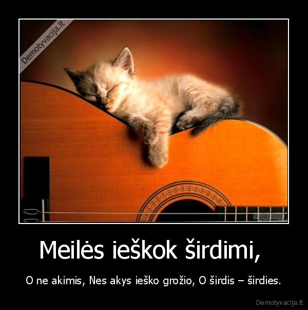 Meilės ieškok širdimi, 