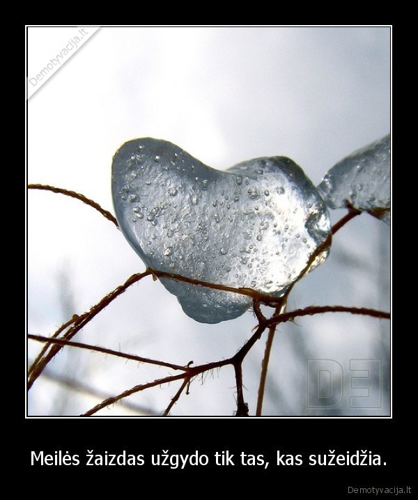 Meilės žaizdas užgydo tik tas, kas sužeidžia.