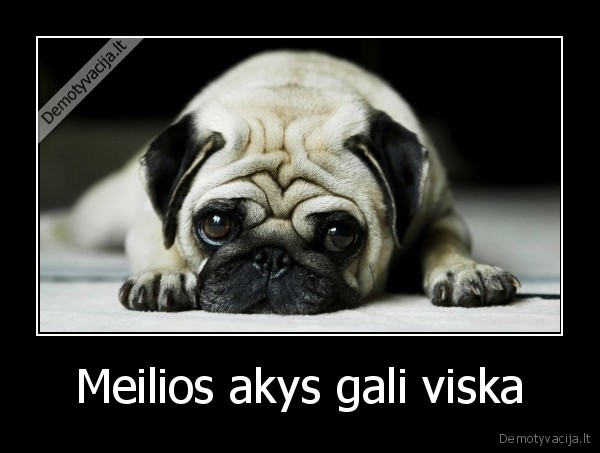 Meilios akys gali viska