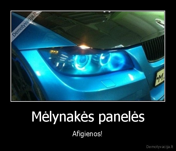 paneles,bmw,melynakes