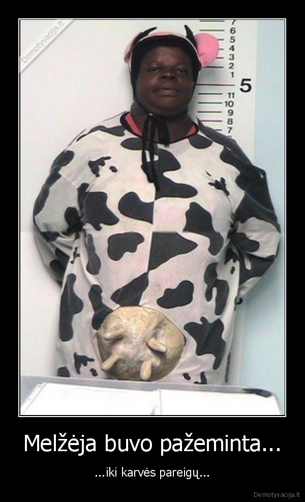 melzeja,karve,pazeminti