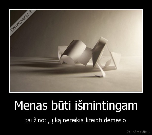 Menas būti išmintingam