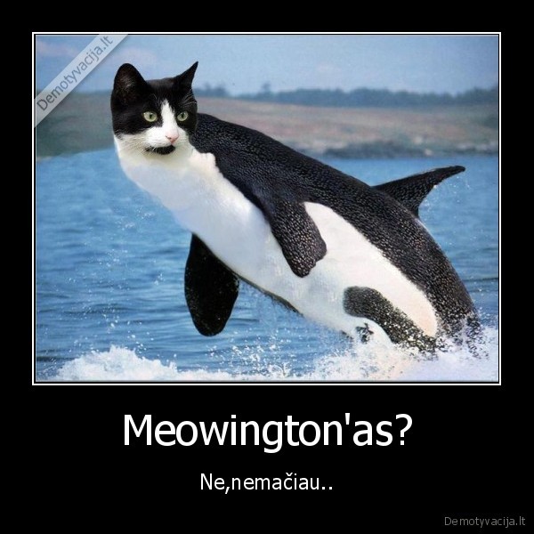 meowingtons, deadmau5