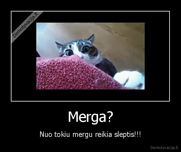 Merga?
