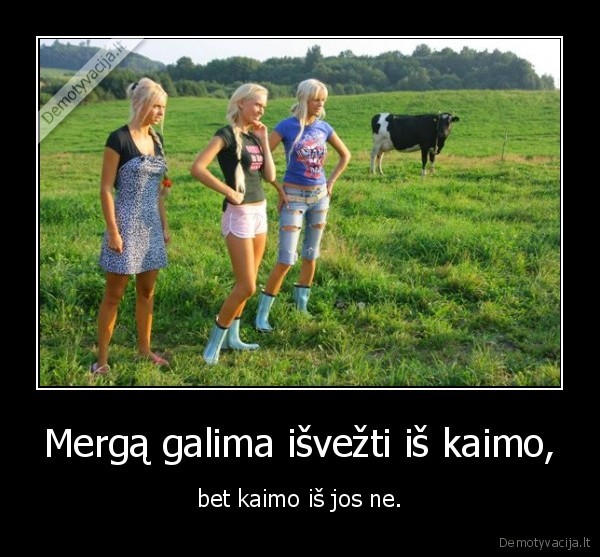 isvezti,kubiliu,i,kaima