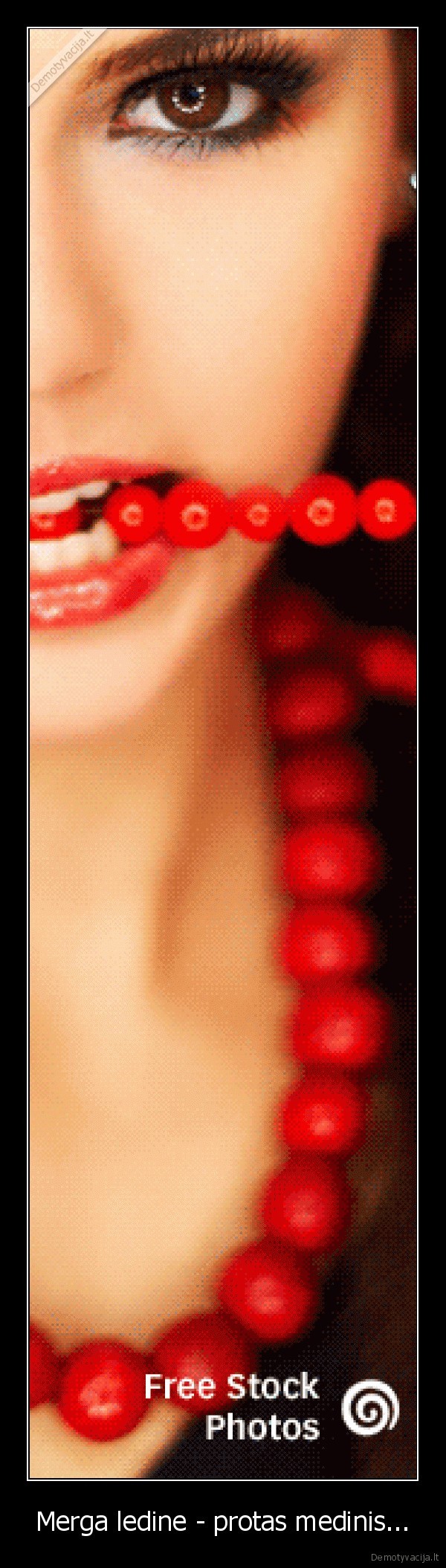 Merga ledine - protas medinis...