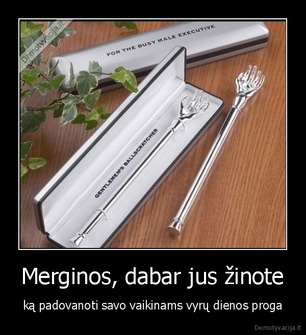 kiausiniu, kasytojas,dovana