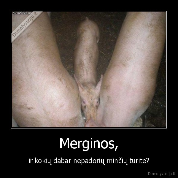 iskrypusios,ziurkikes,noretumet,ane,just,joke