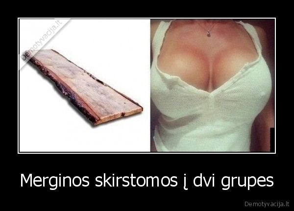 Merginos skirstomos į dvi grupes