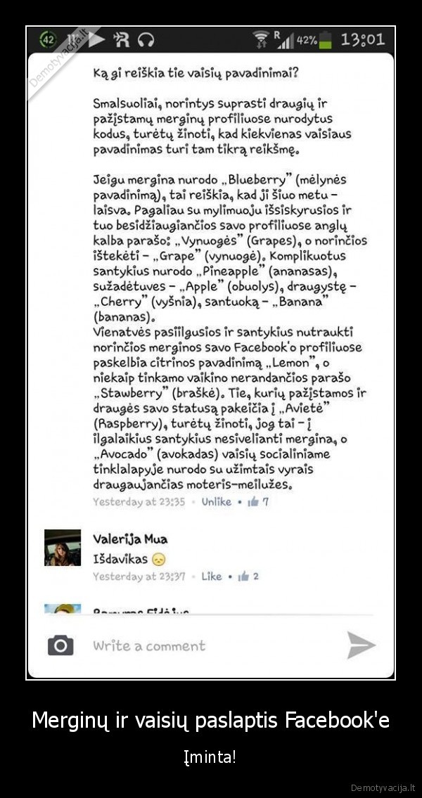 vaisiai,merginos,facebook