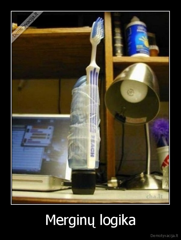 Merginų logika