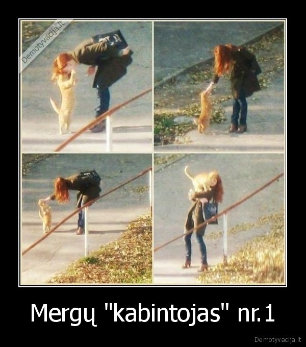 katinas,panele,kabinti