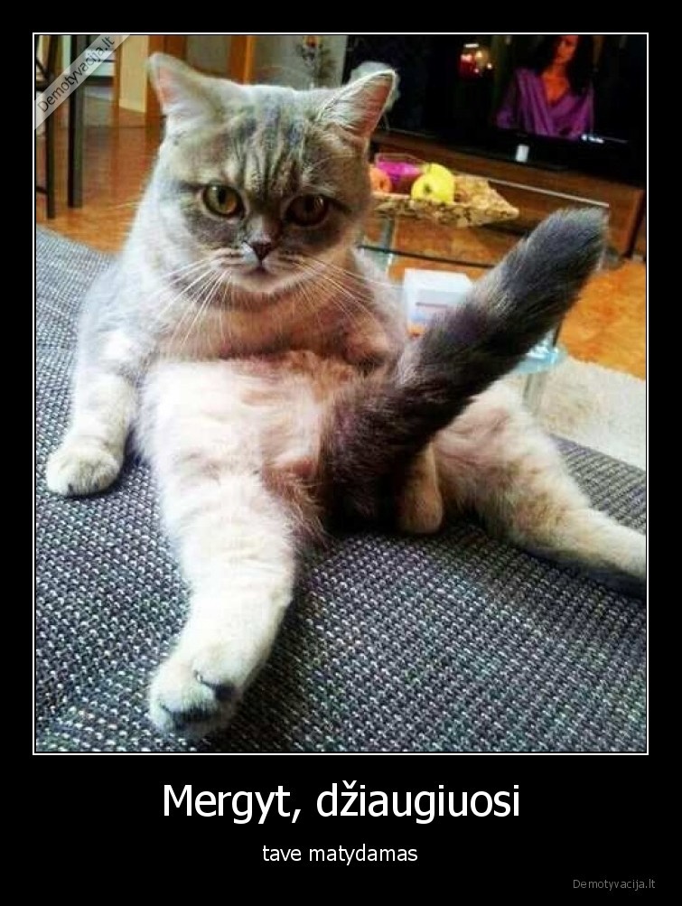 katinas,uodega,dziaugsmas