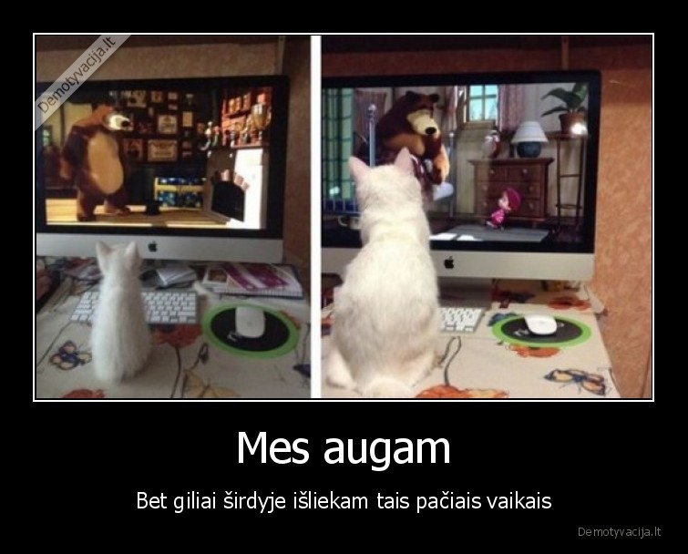 juokingas, katinas,mergaite, masenka,katinas, ziuri, filmukus