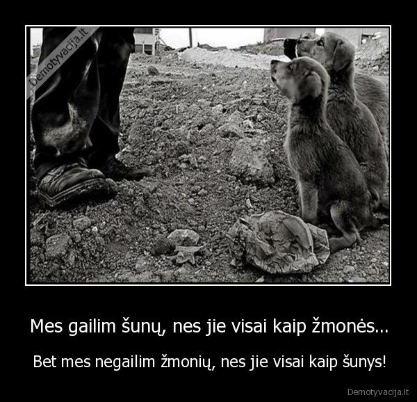 Mes gailim šunų, nes jie visai kaip žmonės...