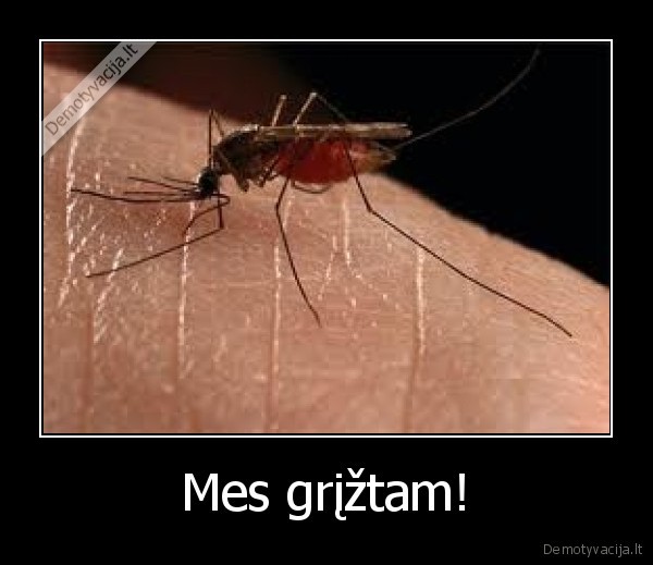 Mes grįžtam!