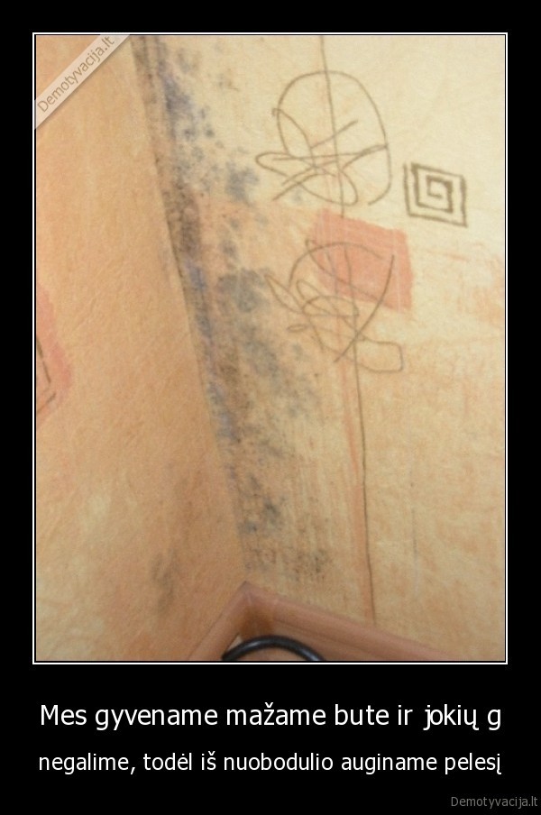 Mes gyvename mažame bute ir jokių g