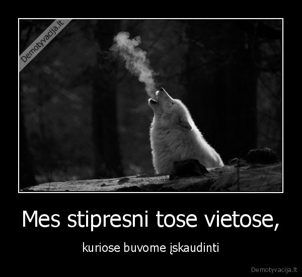 Mes stipresni tose vietose,