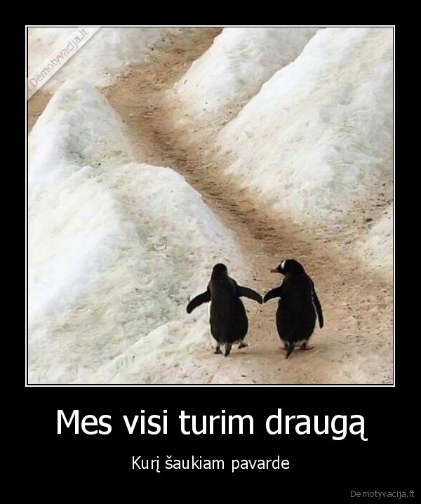 draugo, pavarde,draugo, vardas,vienas, draugas