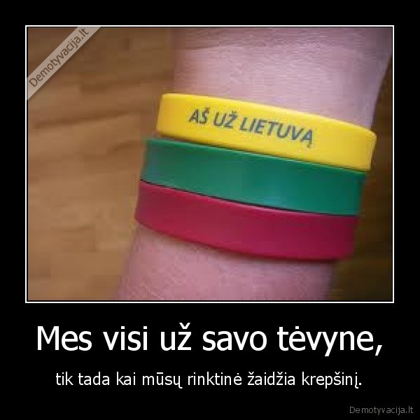 Mes visi už savo tėvyne,