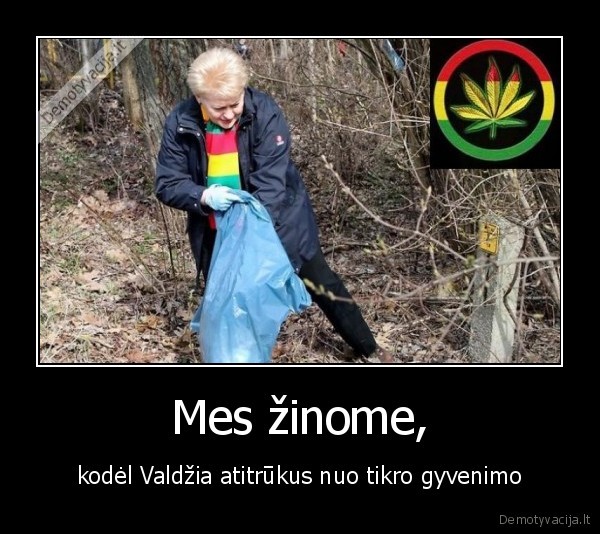 grybauskaite, kanape, ganja, renka, siuksles, ganjawoman