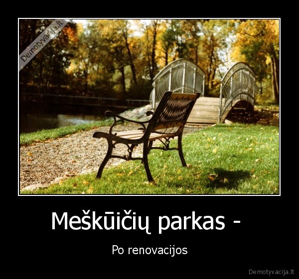 kazkas, vogia, litus, ir, statos, tvartus