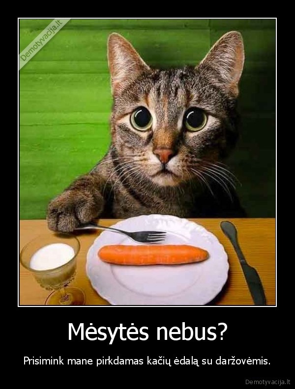 Mėsytės nebus?