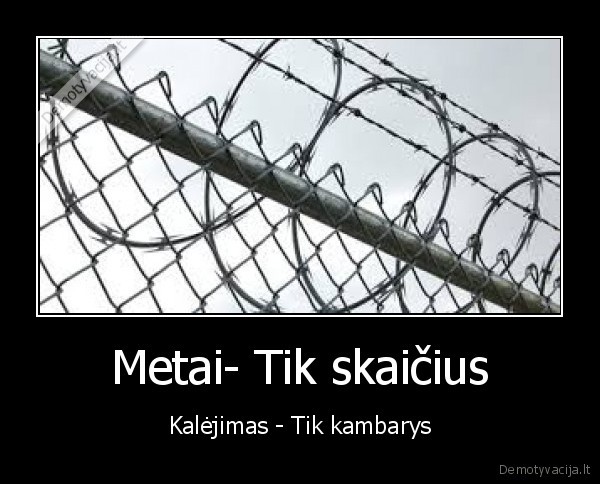 Metai- Tik skaičius