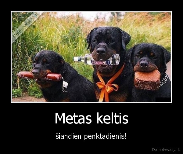 penktadienis,suniukai,vodka,degtine,desra