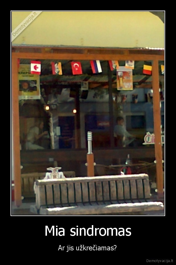 europos, krepsinio, cempionatas,kanada