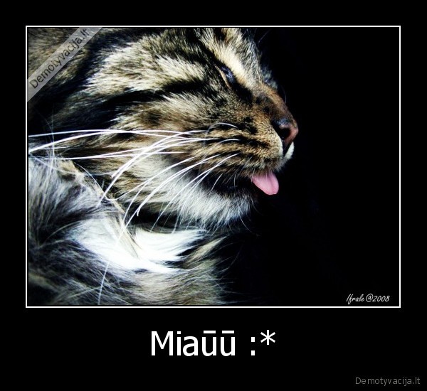 Miaūū :*