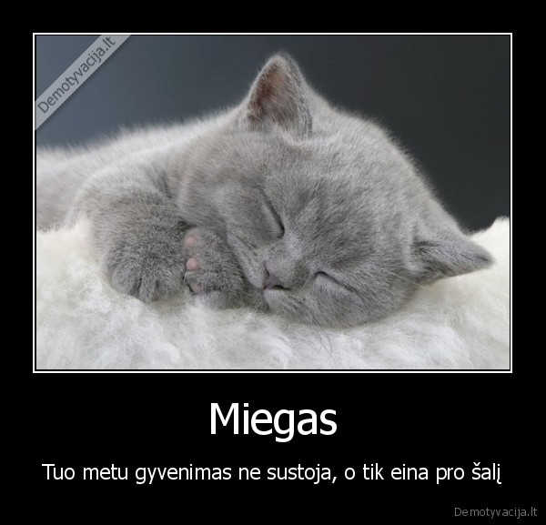 Miegas