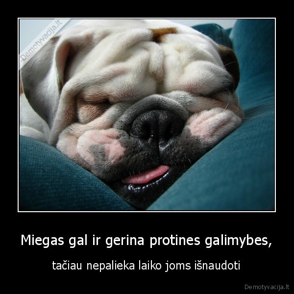 smegenu, lasteliu, regeneracija, and, stuff,puse, savo, gyvenimo, jau, pramiegojau,o, tu