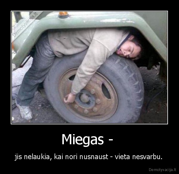 Miegas - 
