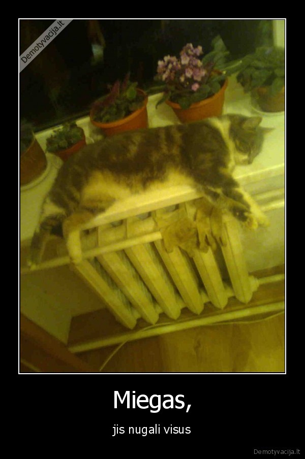 Miegas,