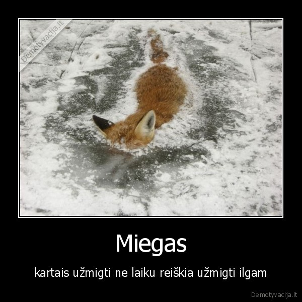 Miegas