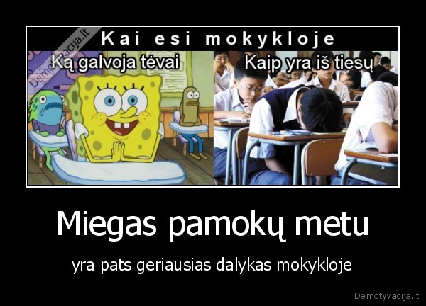 Miegas pamokų metu