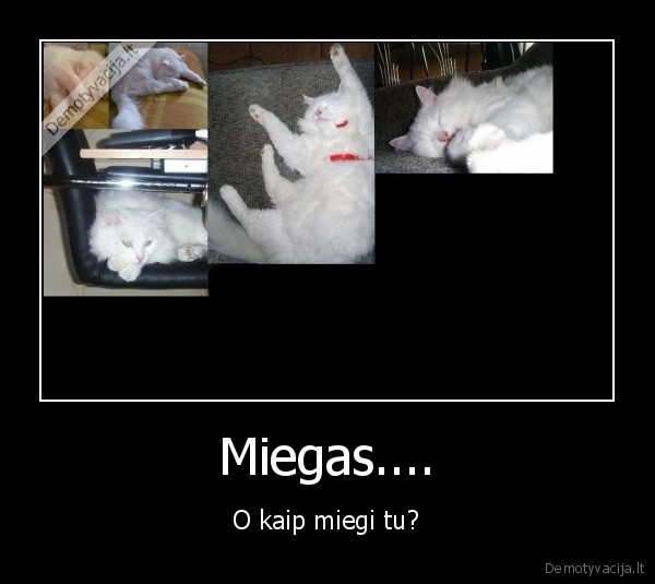 Miegas....