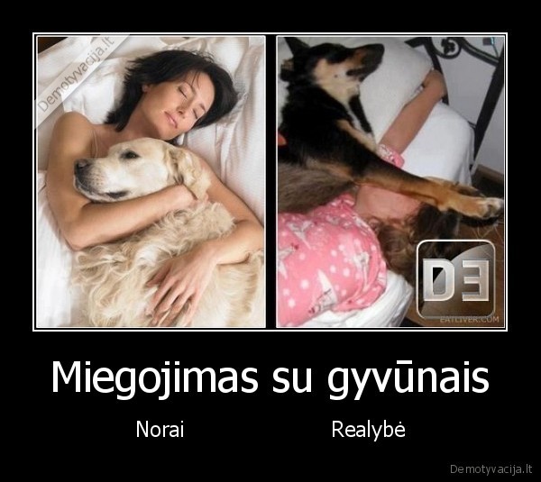 Miegojimas su gyvūnais