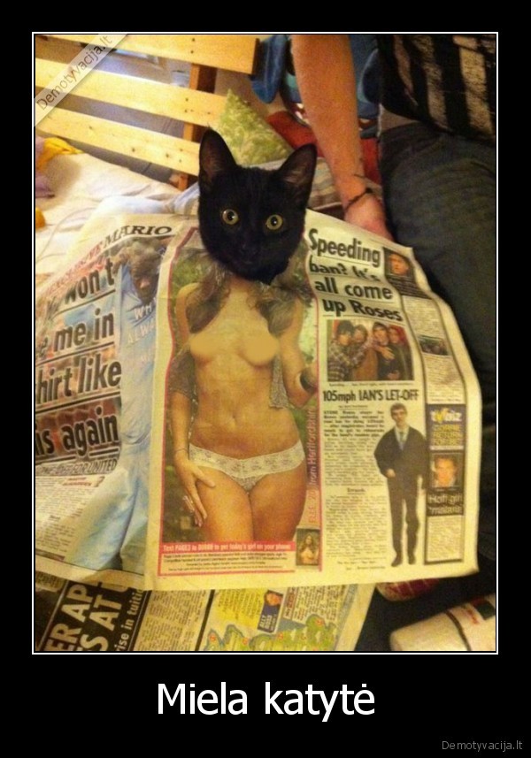 Miela katytė