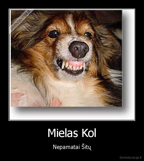 Mielas Kol