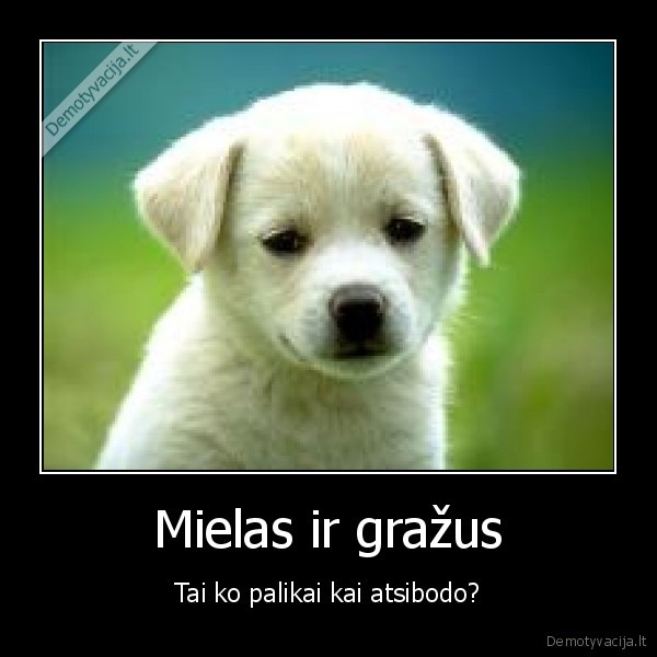 Mielas ir gražus