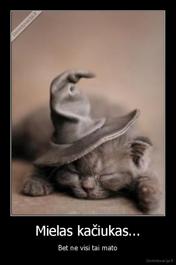 Mielas kačiukas...
