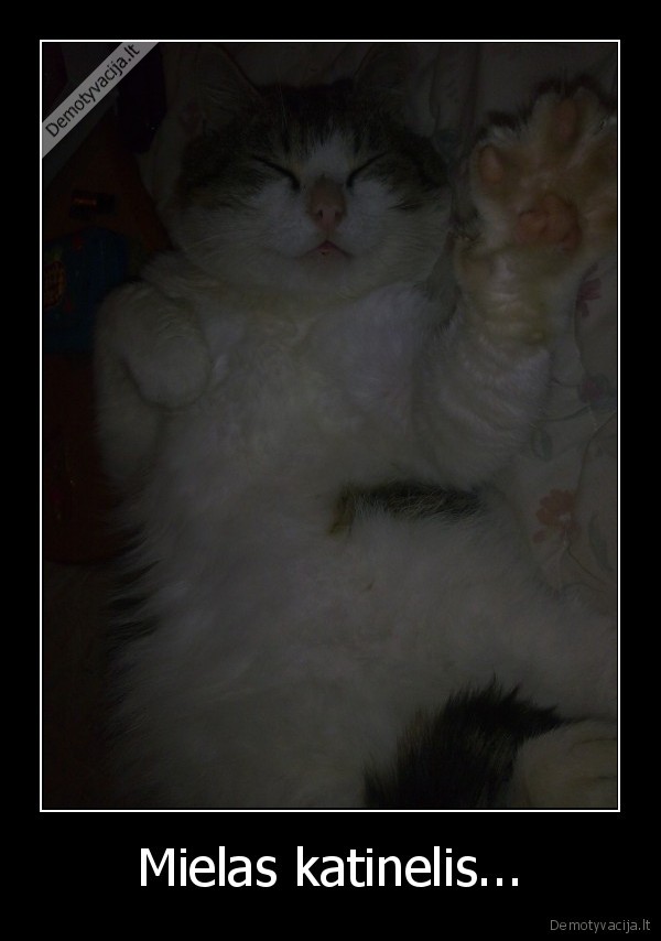 Mielas katinelis...
