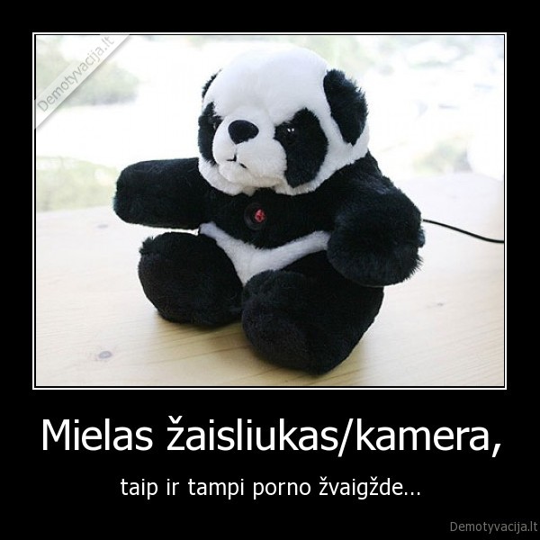 Mielas žaisliukas/kamera,