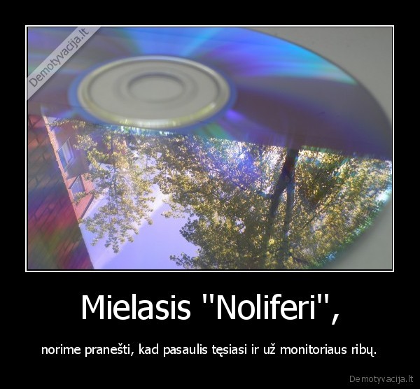 Mielasis ''Noliferi'',