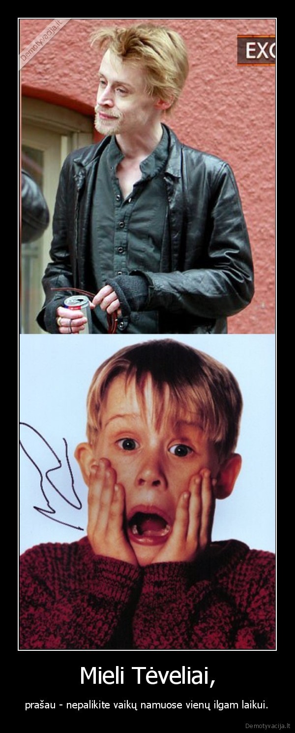 vienas, namuose, paseno, kevinas